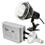 SOLAR RAPTOR HIDランプ 50W ソーラーラプター ソーラーラプターHIDランプ 50W用安定器 クランプランプ