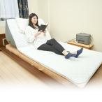 Raku-Liner ラクライナー プレミアム YAX-042P リクライニング エアーマット 電動 ベッド 介護 折り畳み 昇降 エアマット リクライニングベッド 電動ベッド