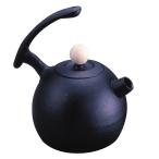 鉄瓶 ブランニューケトル (1.0L) 南部鉄瓶 鉄瓶 南部鉄器 日本製 急須 カラーポット おしゃれ 鉄分補給 鉄分 茶道具 1リットル 1L