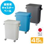 厨房用キャスターペール 45L 業務用 ゴミ箱 ごみ箱 ダストボックス 45リットル 蓋付き フタ付き 排水栓付き 生ゴミ ゴミステーション 厨房 キッチン リス RISU