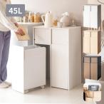 隠せる ゴミ箱 45リットル 2分別 扉式 幅60.5 奥行き43 高さ90cm キャスター付き おしゃれ 45L キッチン リビング 引き出し ごみ箱 キャスター 引出 ドロワー