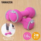 ダンベル 軽量 砂 1kg SFTD-1.0 2個セット 山善 床に落としても安心 女性 ダイエット