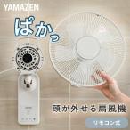 扇風機 壁掛け扇風機 お手入れ簡単モデル 左右首振りリモコン 風量3段階 切タイマー YWX-AF30(C) 壁掛扇風機 静音 サーキュレーター 省エネ 節電 脱衣所 山善