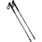  Alba -toruALBATRE карбоновый треккинг paul (pole) I type рукоятка 2 шт. комплект ALTIP2300C