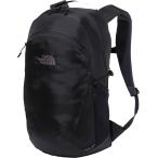 ザ・ノース・フェイス THE NORTH FACE ジェミニ22 メンズ レディース リュック かばん バックパック 22L ハイキング ビジネス 通学 通勤 通気性 シンプル クッ