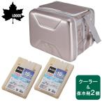 ロゴス LOGOS ハイパー氷点下クーラーL+氷点下パックGT−16℃ハード900g×2 3点セット クーラーバッグ 保冷剤