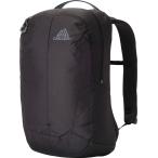 グレゴリー GREGORY レトナ20 カーボンスカイ メンズ レディース 20L リュック ザック タブレット収納 ドキュメントスリーブ 機能的 整理整頓 通勤 通学 ビジ