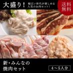  бесплатная доставка yakiniku барбекю новый * все. yakiniku комплект 