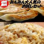 餃子40個 チャーハン3パック ぎょう