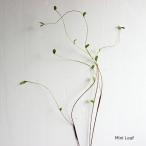 <. магазин SALE ликвидация запасов цена >f Mini leaf b ланч 130cm поддельный цветок искусственный цветок поддельный цветок натуральный искусственная зелень 