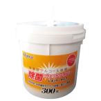 除菌ウェットワイパー レギュラー