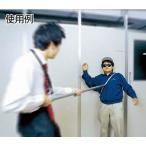 ( конец )wako-.. кроме того, (..) SAS-1