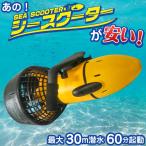 シースクーター 【 EM3001 】 300wパワー 水深30m 最大速度5km/h 最大60分 ターボ機能 充電式バッテリー 密閉型 防水IP68 水中スクーター 電動水中スクーター