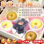 Yahoo! Yahoo!ショッピング(ヤフー ショッピング)【販売日限定】梨 ブドウ 詰合せ 9月 旬 果物 セット 赤秀品 通販 送料無料 ピオーネ 新甘泉 なつひめ 食べ比べ 3種 葡萄 茶梨 青梨