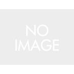 デイトナ（DAYTONA）REMETホシュウヨウ フィルター (24213)