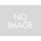 デイトナ（DAYTONA）ターボフィルター/LDIO-ZX (97357)