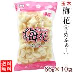 梅花 うめふぁー 66g×10