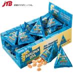 ハワイ お土産 MAUNALOA マウナロア マカダミアナッツ ミニパック塩味 14g×24パック お菓子