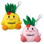  Гаваи . земля производство ананас ячейка для монет 2 шт. комплект l сумка * сумка Гаваи смешанные товары Гаваи земля производство 