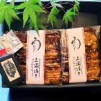 うなぎ 鰻 国産 濱松うなぎ中川屋 蒲焼き(上) 2枚|ウナギ 蒲焼き 鰻 かば焼き 浜松 ウナギ お取り寄せグルメ bussan_w