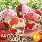 ショッピングアイスクリームメーカー アイスクリーム 博多あまおうのこだわりアイス 9個入り AH-ABR｜ギフト スイーツ デザート アイス 詰め合わせ