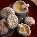 [. лет .. . соответствует возможно ][ подарок по случаю конца года бесплатная доставка ] Miyazaki префектура производство .....YD-30