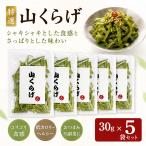 [M354] специальный отбор гора ... cut 30g×5 сухой стебель lettuce вынос руля lettuce ko Rico li еда чувство для бизнеса китайский пищевые ингредиенты вода возврат простой большая вместимость обычная температура сохранение низкий калории клетчатка China производство 