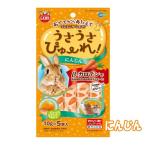 〔マルカン〕おててからあたえてコミュニケーション！うさうさぴゅーれ　にんじん