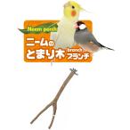  антибактериальный * репеллент от моли .. высокий натуральное дерево используя . маленькая птица для pa-chi[ три . association ] Nimes. ... дерево b ланч 