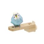  маленькая птица для pa-chi.... Flat pa-chi Short три . association 