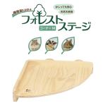  шиншилла,...,teg-,sima белка, Momo nga и т.п. верх и низ движение ... мелкие животные разведение мера .! forest stage угол M[ три . association ]