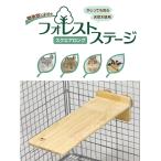  шиншилла *...*teg-* Momo nga*sima белка и т.п. используя свое усмотрение. хороший, одна сторона установка. stage. forest stage квадратное длинный [ три . association ]