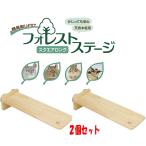 2 шт. комплект! шиншилла *...*teg-* Momo nga*sima белка и т.п. длинный тип stage. forest stage квадратное длинный ×2 шт. комплект [ три . association ]