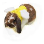 [ Rainbow ].... Harness u Eara n Ran Harness одежда * ангел Chan (* Lead. не прилагается.)