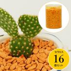 水耕栽培用セラミス70ｇ16個セッ...