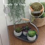 lagido руль жестяная пластина tray овальный S tray жестяная пластина tray стенд для вазы горшок класть модный садоводство .... украшение 