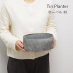  жестяная пластина посадочная машина овальный M размер жестяная пластина горшок садоводство украшение посадочная машина модный салон наружный 
