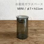 MINI BULB VASE вода культивирование стекло основа прозрачный 11cm серый клапан(лампа) основа ваза стекло вода культивирование контейнер модный декоративное растение луковица pot горшок 