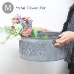 SCANDINAVIAN metal цветок pot M размер посадочная машина горшок садоводство модный 
