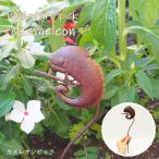  немедленно отгрузка сад pick модный садоводство смешанные товары орнамент произведение искусства pick Mini украшение жестяная пластина 