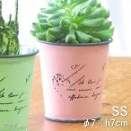  немедленно отгрузка письмо pot SS розовый садоводство сад посадочная машина цветок pot цветочный горшок покрытие мелкие вещи 