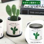  немедленно отгрузка CACTUS de CACTUSkaktasdekaktas опунциевые кактусы кактус культивирование комплект культивирование комплект суккулентное растение садоводство садоводство in bound . земля производство 
