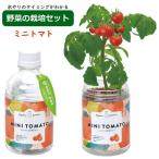  зеленый домашнее животное green pet помидор гидропонная культура культивирование комплект комплект салон овощи трава садоводство садоводство огород подарок сделано в Японии 