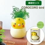 ko Logo ro bird o черепаха ромашка культивирование комплект комплект салон овощи трава цветок садоводство садоводство огород модный 