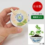  ramen приправа культивирование комплект три лист культивирование комплект комплект салон овощи приправа цветок садоводство садоводство огород модный ребенок миниатюра 