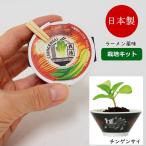 ラーメン薬味栽培キットチンゲンサイ...