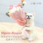 即出荷 いぬシロ 母の日 プレゼント ギフト ブーケ 花束 造花 植物 観葉植物 オブジェ 置物 ウサギ かわいい CTミニョンブーケ 4208673-07 丸和貿易