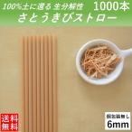 ショッピングストロー ストロー 生分解性 さとうきびストロー 6mm 1000本 エコストロー 個別包装無し