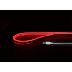 USB neon трубчатая подсветка 1m водонепроницаемый красный красный party день рождения память день Event Halloween ge-ming Рождество NEONLT1M-RD JTT