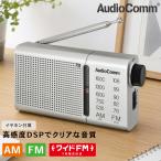 AudioComm AM/FM портативный радио серебряный lRAD-P503S 03-0990 ом электро- машина 